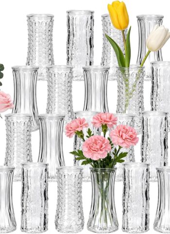 24 Pack Mini Glass Bud Vases, Small Clear Flower Vases Bulk | For Wedding Centerpieces, Rustic Modern Table Decor Vases for Home, Hotel, Restaurant, Birthday Party, Beautiful Gift Set